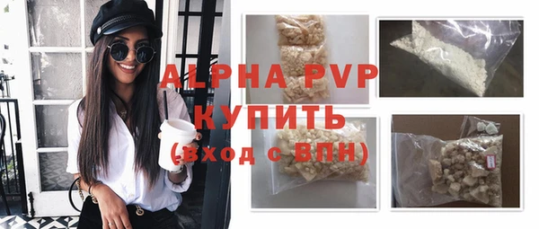 индика Белоозёрский
