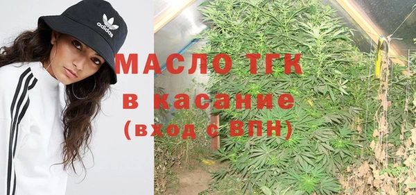 индика Белоозёрский