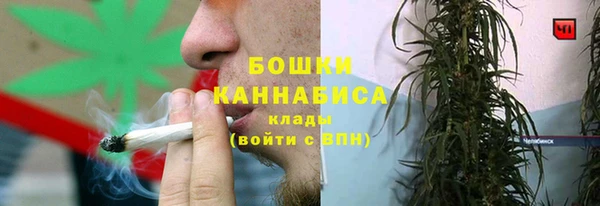 индика Белоозёрский