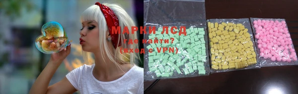 индика Белоозёрский