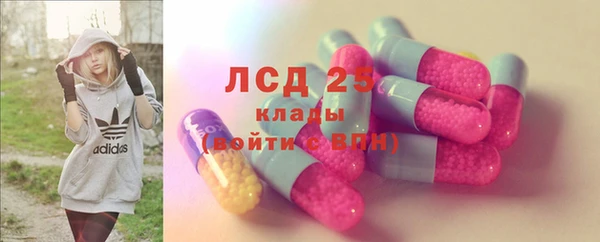 индика Белоозёрский