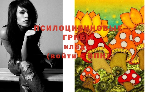 MDMA Белокуриха