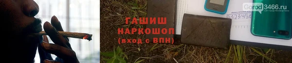индика Белоозёрский
