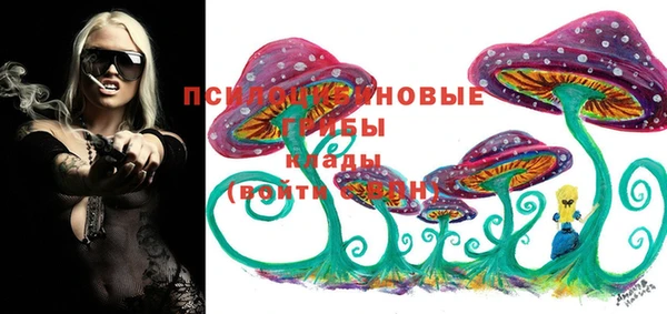 MDMA Белокуриха