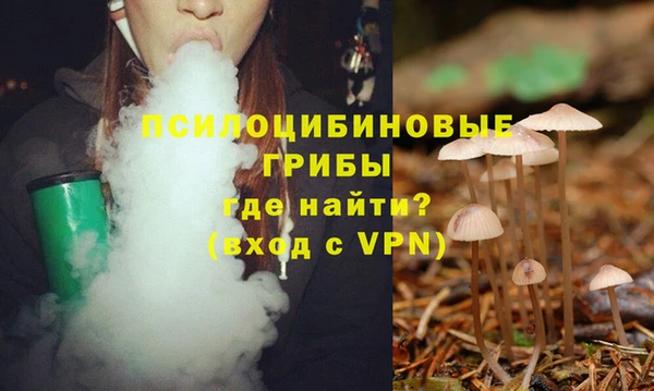 MDMA Белокуриха