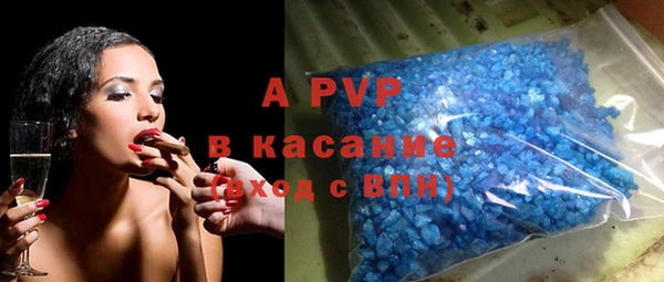 индика Белоозёрский