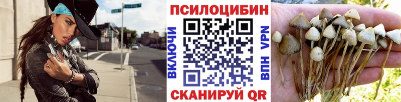 Псилоцибиновые грибы MAGIC MUSHROOMS  купить  сайты  Воскресенск 