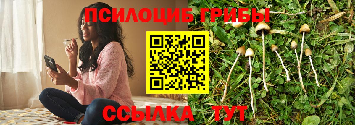 Псилоцибиновые грибы мухоморы  Воскресенск 