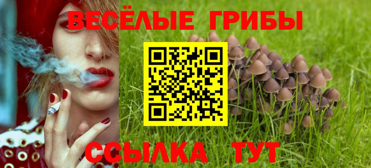 Воскресенск  Галлюциногенные грибы Psilocybe  Вход с VPN 