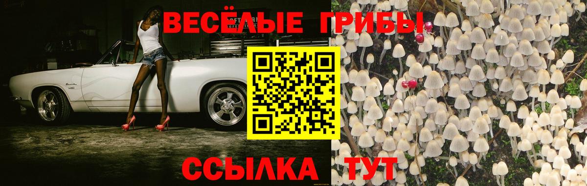 Псилоцибиновые грибы Magic Shrooms Воскресенск